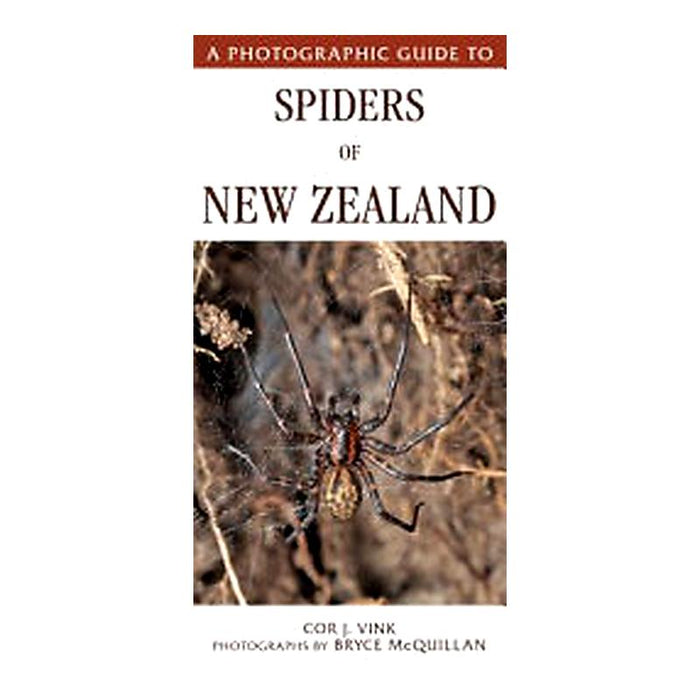 Photographic Guide To Spiders Of Nz_1