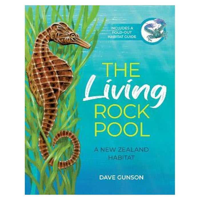 The Living Rock Pool A New Zealand Habitat_1