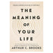 The Meaning of Your Life_1