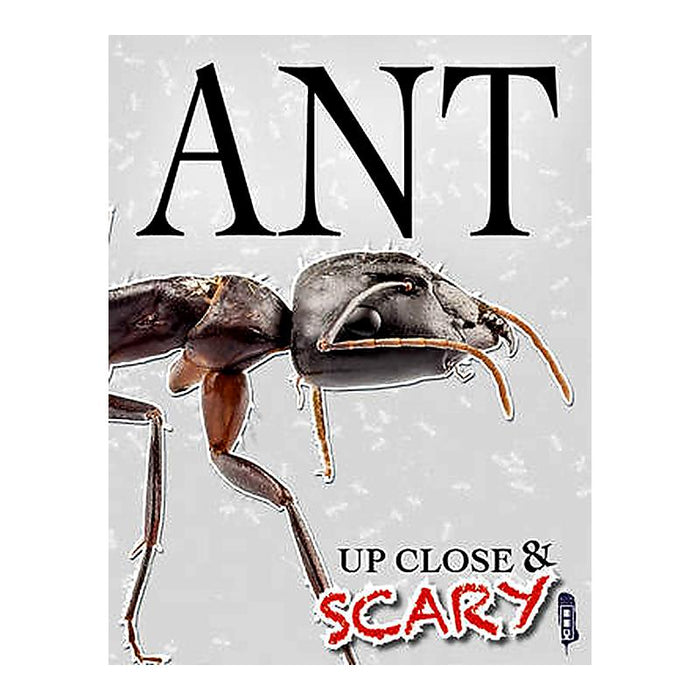 Up Close And Scary Ant_1