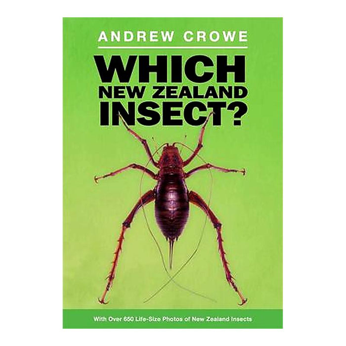 Which Nz Insect_1