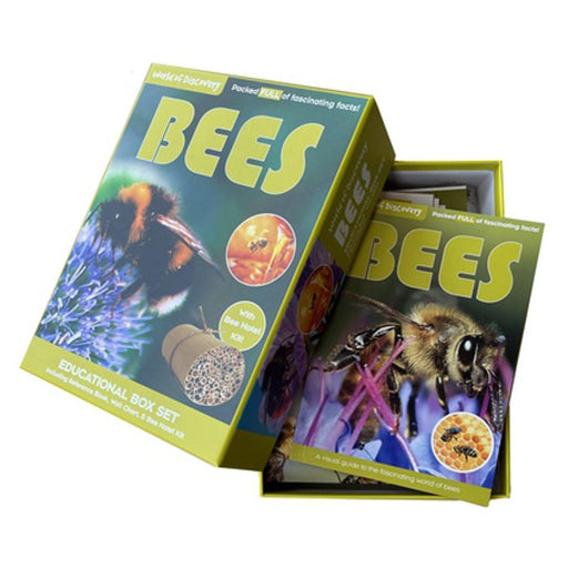 World Of Discovery Bees_1