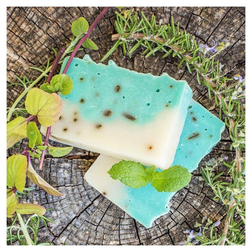 image_1