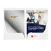 Marbig professional presentation folders a4 gloss double pocket white p-Marston Moor