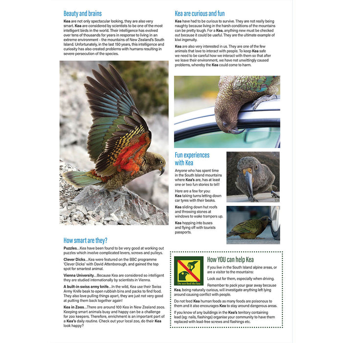 Clever Kiwi Kea Studies Book