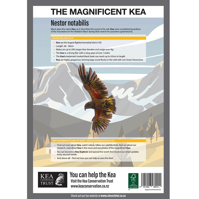 Clever Kiwi Kea Studies Book