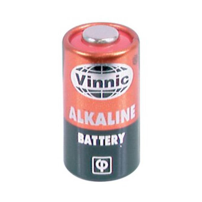 6 Volt Alkaline Battery