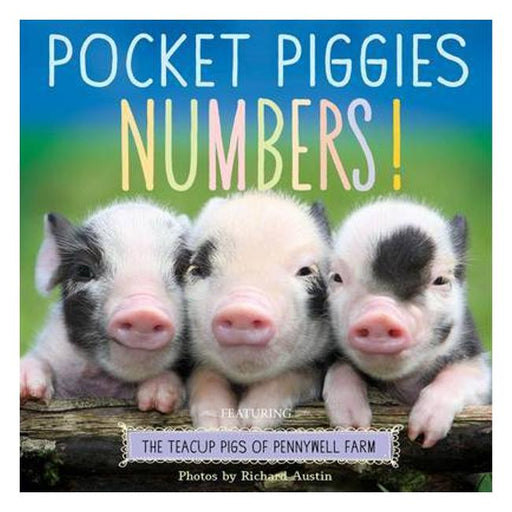 Numbers! (Pocket Piggies)-Marston Moor