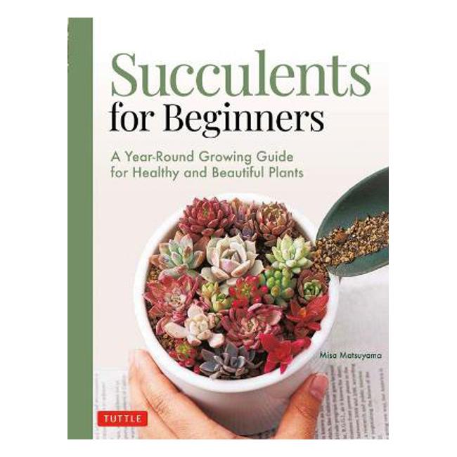 Succulents for Beginners - Misa Matsuyama — Marston Moor