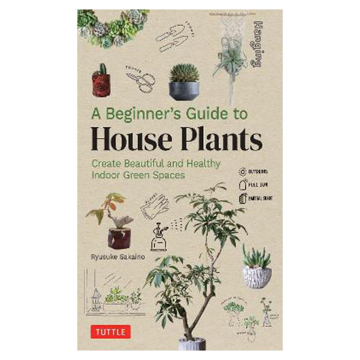 Beginner's Guide to House Plants