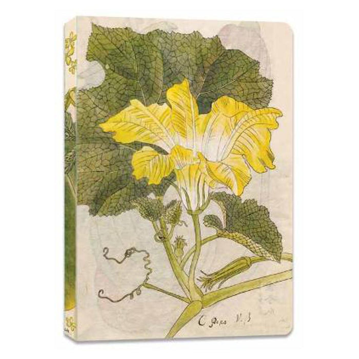 Japanese Squash Blossom Lined Paperback Journal