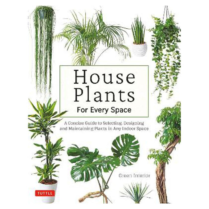 House Plants for Every Space | Green Interior