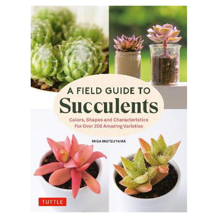 Field Guide to Succulents | Misa Matsuyama