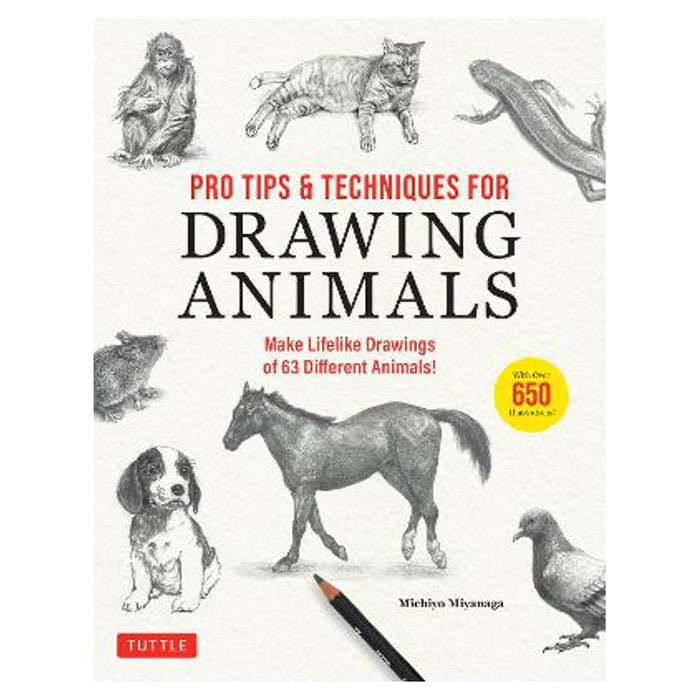 Pro Tips & Techniques for Drawing Animals
