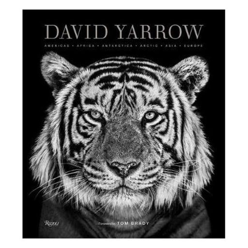 David Yarrow Photography: Americas Africa Antarctica Arctic Asia Europe - Marston Moor