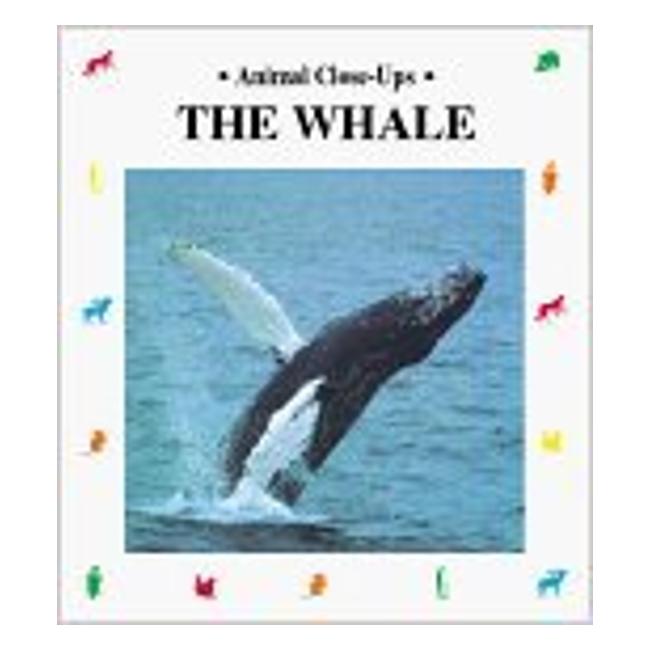 The Whale, Giant Of The Ocean-Marston Moor