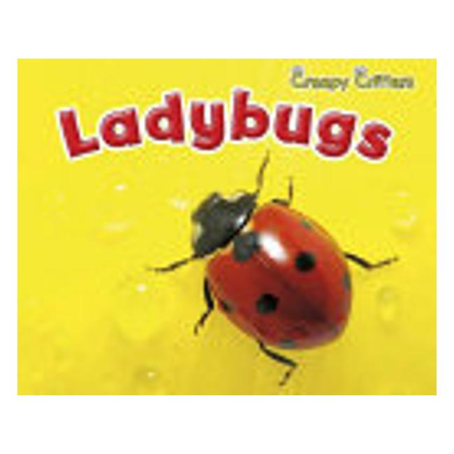 Ladybugs (Creepy Critters)-Marston Moor