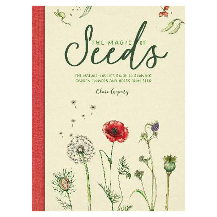 Magic of Seeds | Clare Gogerty