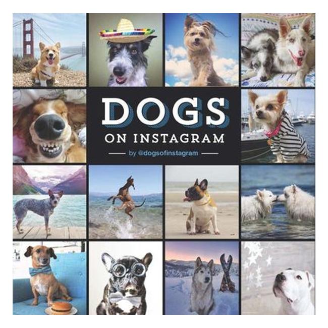 Dogs On Instagram - Dogs On Instagram Staff