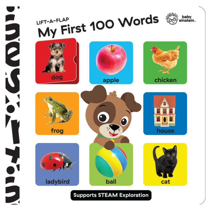 Baby Einstein Lift A Flap My First 100 Words Novelty Board Book