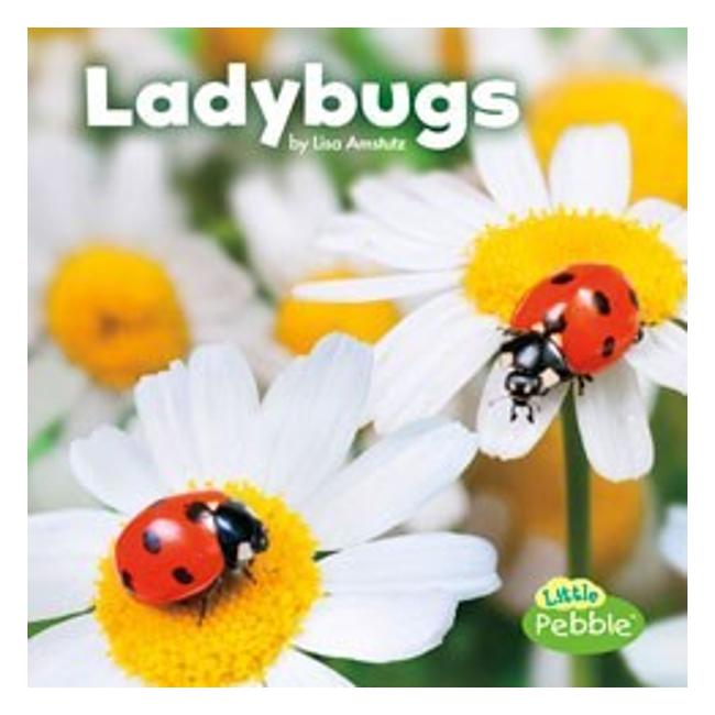 Ladybugs (Little Critters)-Marston Moor