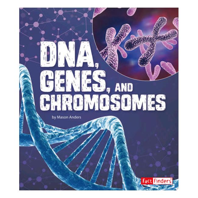 Dna, Genes, And Chromosomes - Mason Anders