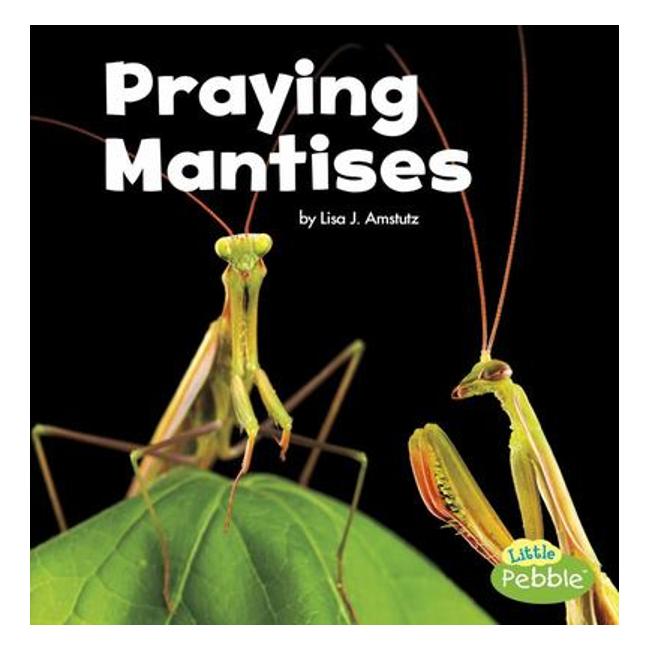 Praying Mantises (Little Critters)-Marston Moor