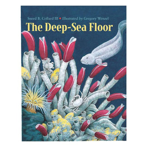 The Deep-Sea Floor-Marston Moor