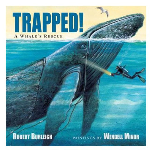 Trapped! A Whale'S Rescue-Marston Moor