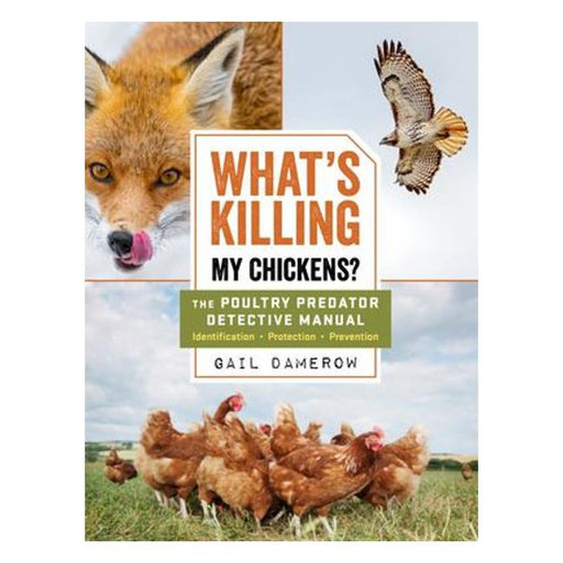 What'S Killing My Chickens? - The Poultry Predator Detective Manual-Marston Moor