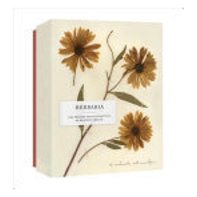 Herbaria - The Pressed Plant Collection Of Beatrix Farrand - 12 Notecards And Envelopes - Princeton Architectural Press