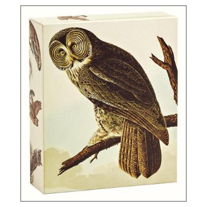 Audubon Owls QuickNotes | John James Audubon