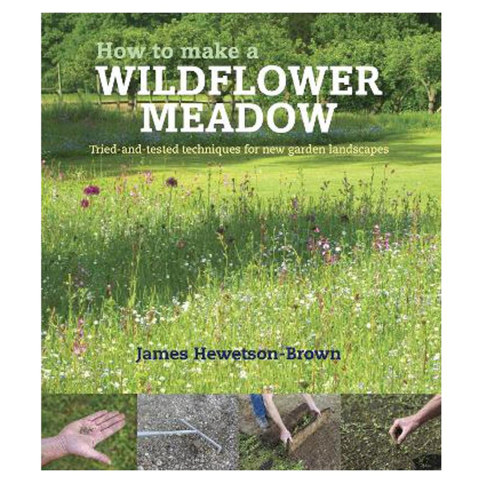 How to make a wildflower meadow