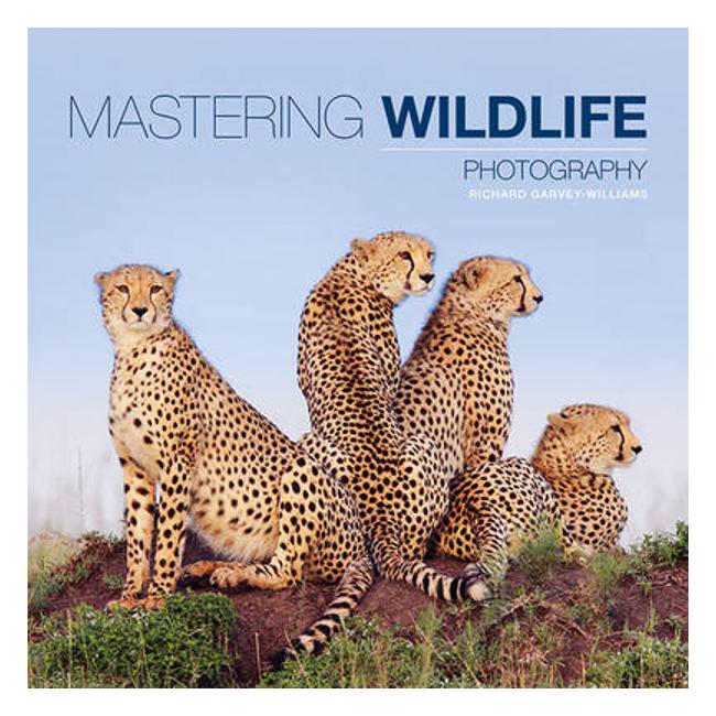 Mastering Wildlife Photography-Marston Moor