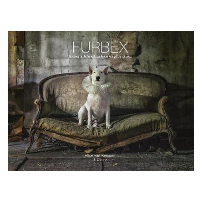 Furbex: A Dog's Life of Urban Exploration - Alice Van Kempen