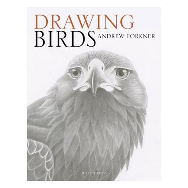 Drawing Birds - Andrew Forkner
