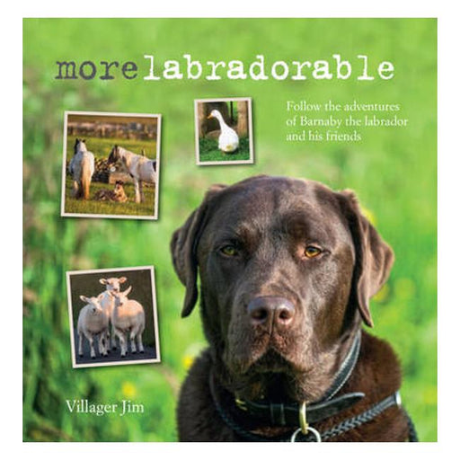 Morelabradorable: Follow The Adventures Of Barnaby The Labrador And His Friends-Marston Moor