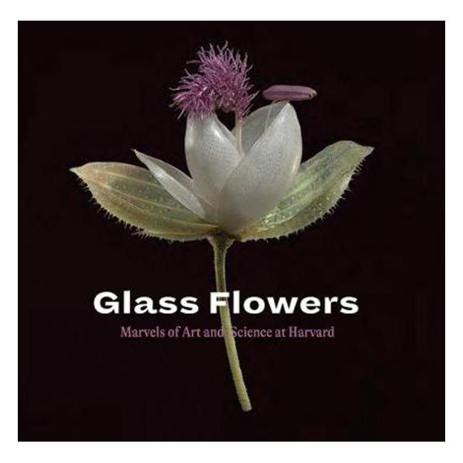 Glass Flowers: Marvels of Art and Science at Harvard - Brown Jennifer