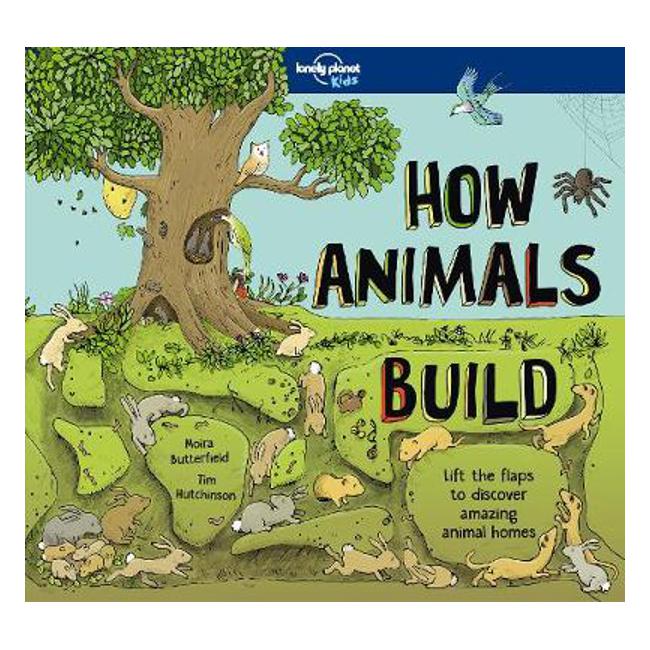 How Animals Build - Lonely Planet Kids