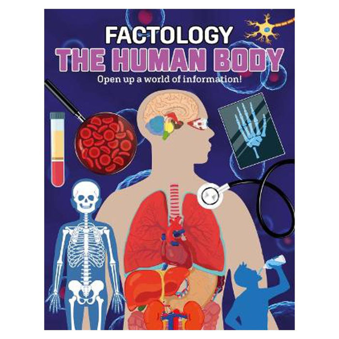 Human Body | Button Books