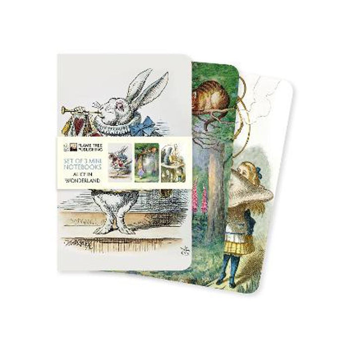 Alice in Wonderland Set of 3 Mini Notebooks