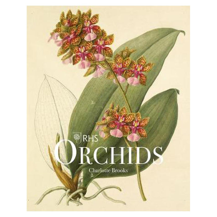 RHS Orchids | Charlotte Brooks
