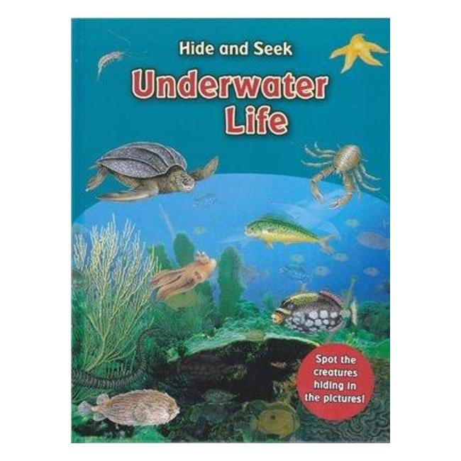 Hide And Seek: Underwater