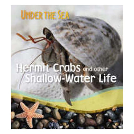 Under The Sea : Hermit Crabs And  Other Shallow-Water Life-Marston Moor