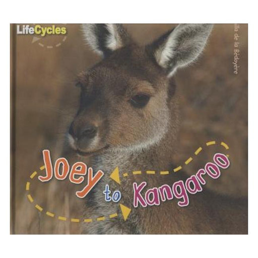 Life Cycles - Joey To Kangaroo-Marston Moor