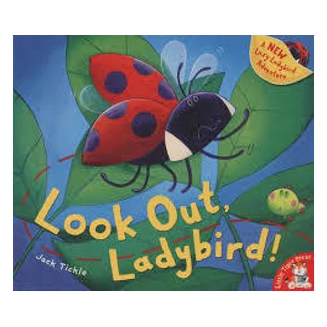 Look Out Ladybird!-Marston Moor