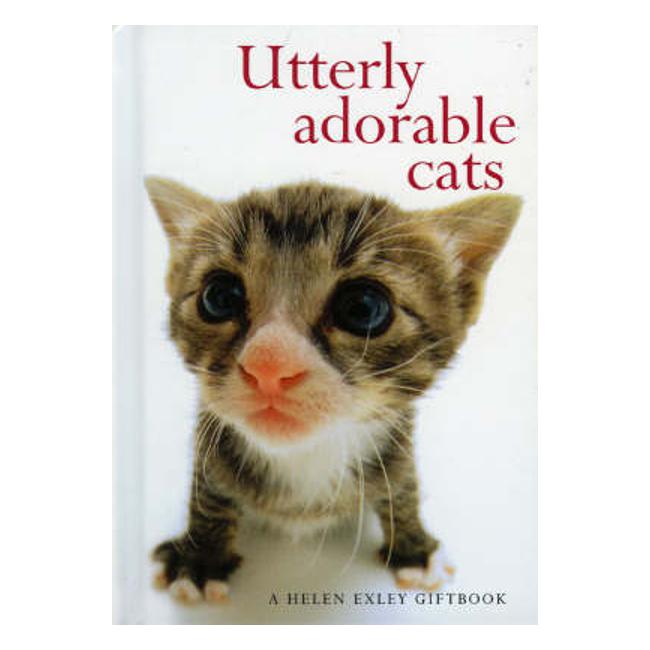 Utterly Adorable Cats-Marston Moor