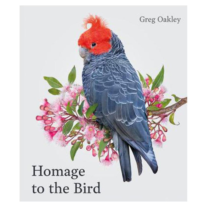 Homage to the Bird | Greg Oakley