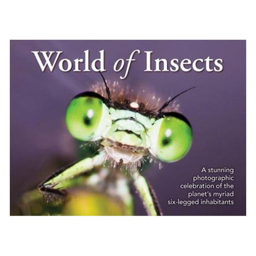 World Of Insects-Marston Moor