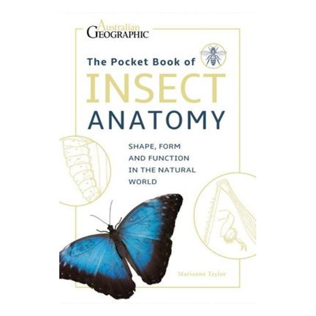 The Pocket Book Of Insect Anatomy-Marston Moor